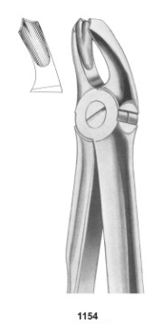  Fig. 18A upper molars 